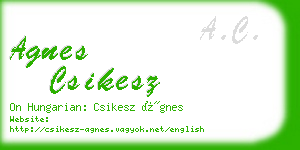 agnes csikesz business card